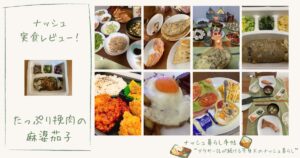 ナッシュのたっぷり挽肉の麻婆茄子はまずい？量やカロリーを徹底レビュー！