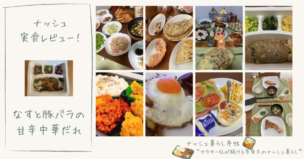 ナッシュのなすと豚バラの甘辛中華だれはまずい？量やカロリーを徹底レビュー！